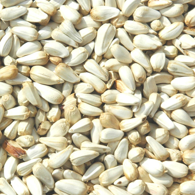 Safflower Seed Tampa Bay Tan,Diy Projects